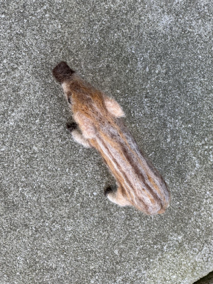 Frischling – Bild 3