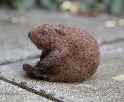 sitzender Biber gemütlich – Bild 3
