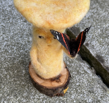 Pilz mit Schmetterling - kurze Rast – Bild 2