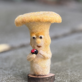 Pilz mit Marienkäfer - streicheln