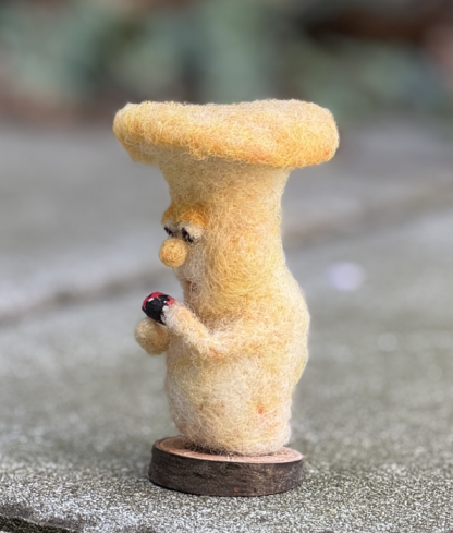 Pilz mit Marienkäfer - streicheln – Bild 4