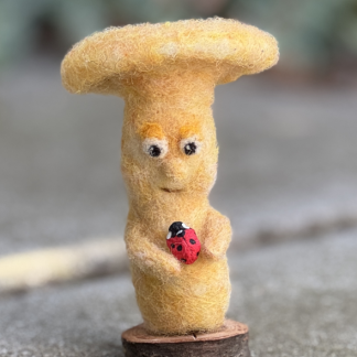 Pilz mit Marienkäfer - umarmen