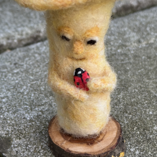 Pilz mit Marienkäfer - Freundschaft