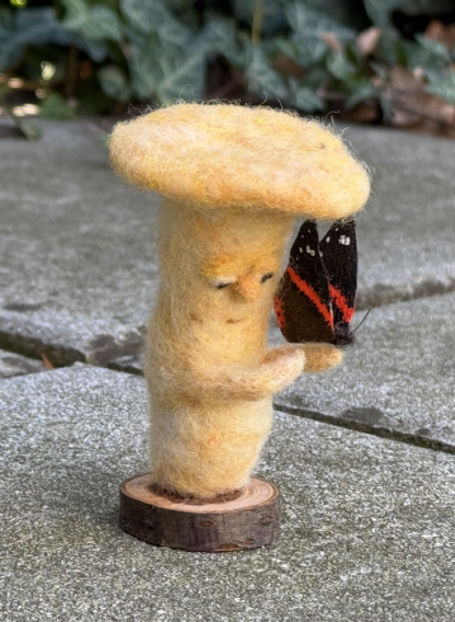 Pilz mit Schmetterling - warte kurz – Bild 2