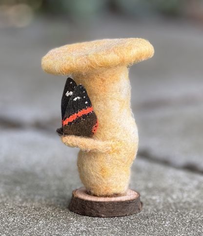 Pilz mit Schmetterling - warte kurz – Bild 3