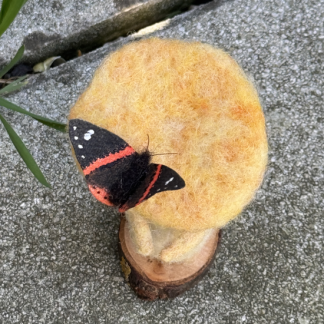 Pilz mit Schmetterling - lost