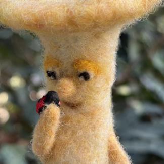 Pilz mit Marienkäfer - betrachten