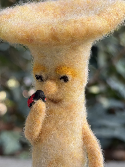 Pilz mit Marienkäfer - betrachten