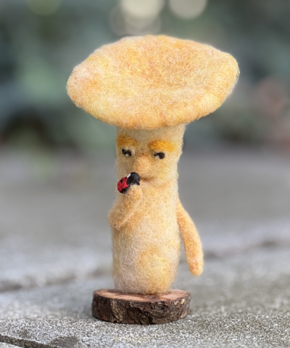 Pilz mit Marienkäfer - betrachten – Bild 2