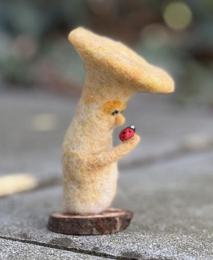 Pilz mit Marienkäfer - betrachten – Bild 3