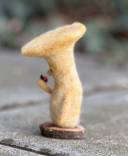 Pilz mit Marienkäfer - betrachten – Bild 4