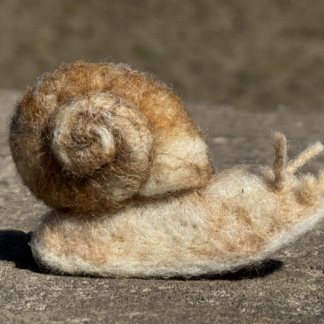 Weinbergschnecke