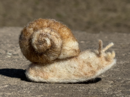 Weinbergschnecke