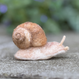Weinbergschnecke