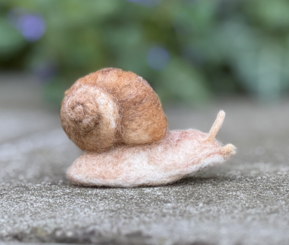 Weinbergschnecke