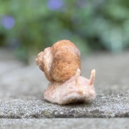 Weinbergschnecke – Bild 2