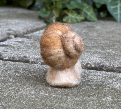 Weinbergschnecke – Bild 5