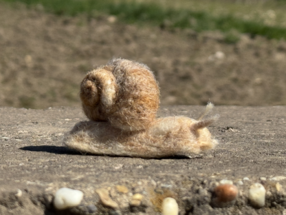 Weinbergschnecke
