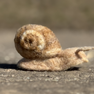 Weinbergschnecke