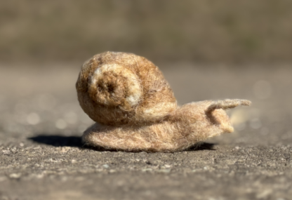 Weinbergschnecke