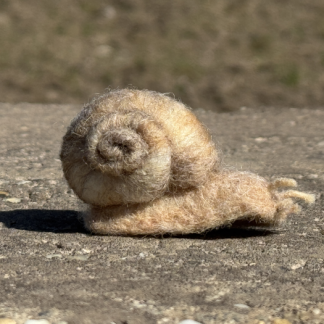 Weinbergschnecke