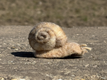Weinbergschnecke