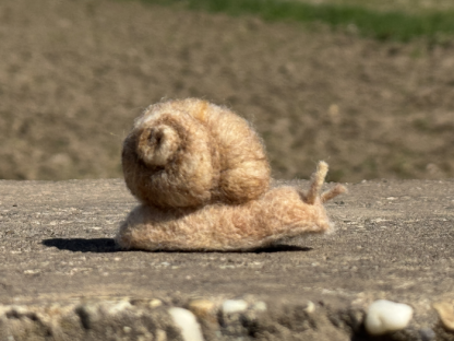 Weinbergschnecke