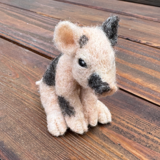 Geflecktes Schweinchen